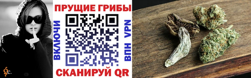 Галлюциногенные грибы мицелий  хочу наркоту  Петровск-Забайкальский 